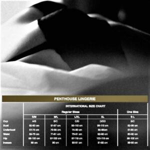PENTHOUSE SEM DESCULPAS MEIAS S/M/L