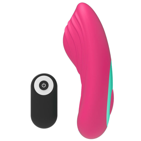 CONTROLE REMOTO HAPPY LOKY PANTY VIBE - Image 2