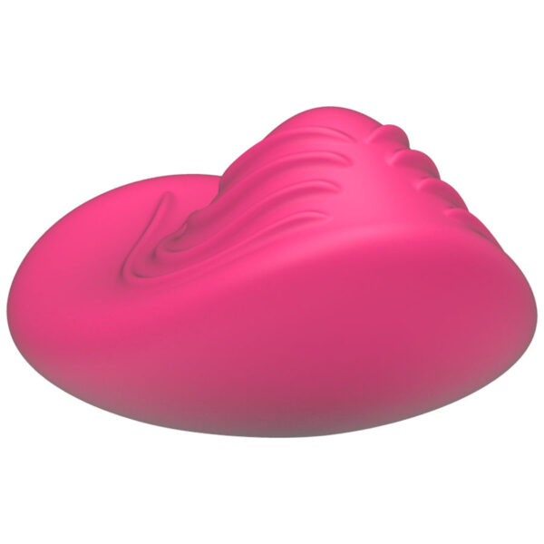 CONTROLE REMOTO HAPPY LOKY PANTY VIBE - Image 3
