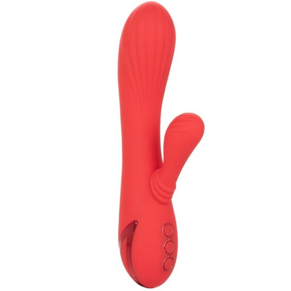 Mercadox CALEX PALISADES VERMELHO PASSION