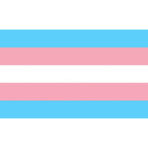 ORGULHO – BANDEIRA TRANSEXUAL 90 X 150