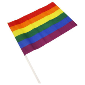 ORGULHO – FANDEIRA MÉDIA DA BANDEIRA LGBT