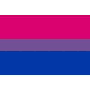 PRIDE – PULSEIRA BANDEIRA BISSEXUAL 90 X 150