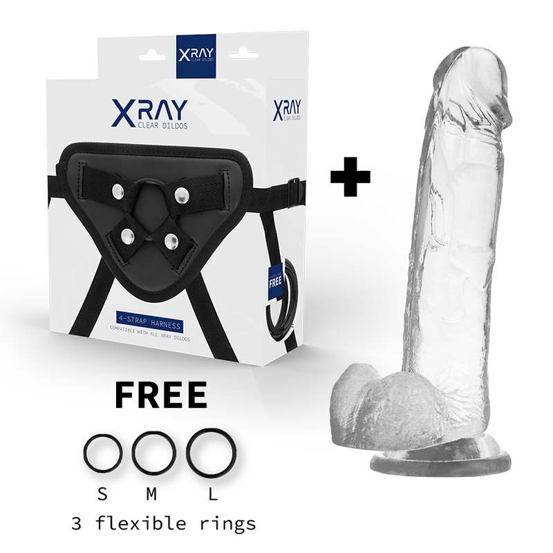 X RAY - ARNÊS + DILDO COM BOLAS 22 CM -O- 4.6 CM - Image 2