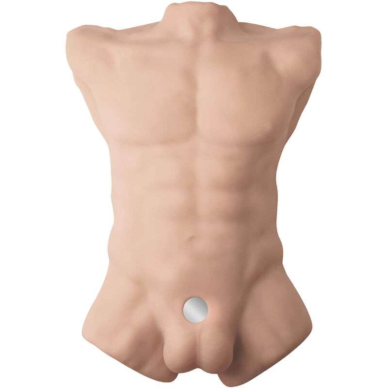 SILEXD - APOLLO L TORSO MASCULINO REALISTA - Image 2