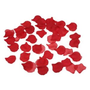 DIABO PICANTE – 100 PÉTALAS VERMELHAS