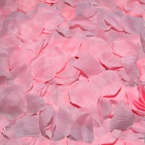 DIABO PICANTE – 100 PÉTALAS ROSA