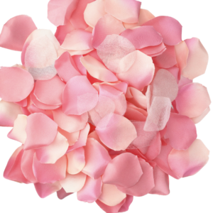 DIABO PICANTE – 100 PÉTALAS ROSA